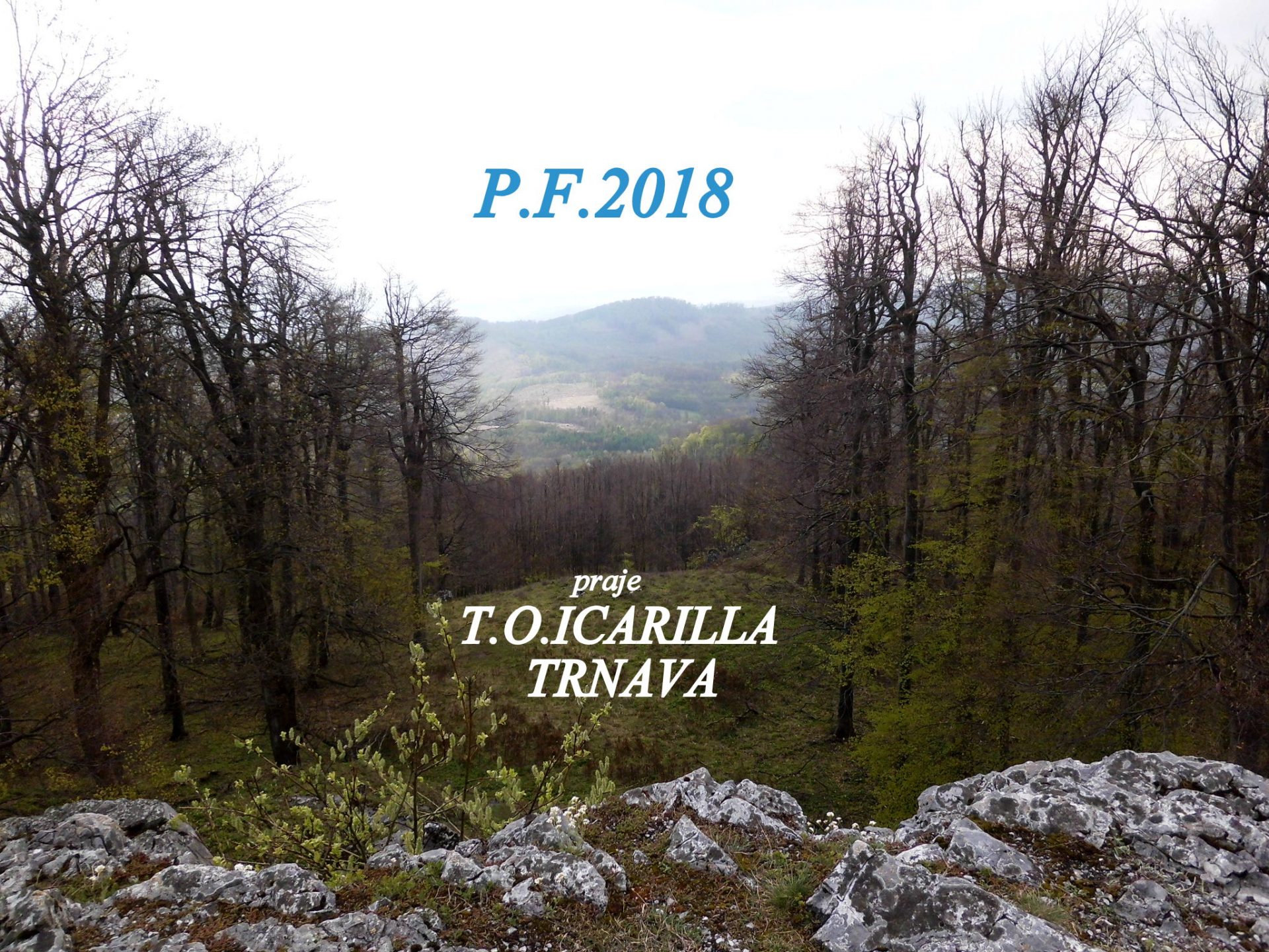 P F 2018 T.O. ICARILLA