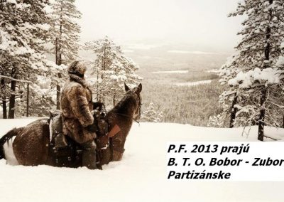 p.f. 2013