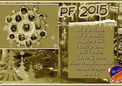 pf 2015 e